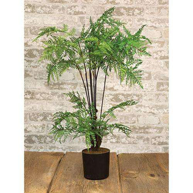 Hillside Grove Tree, 25